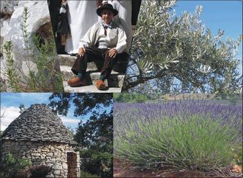 Site Communauté de Haute Provence - photo caractéristiques de la Provence